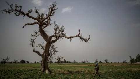 Getty Images A UN soldier walking by a tree in central Mali