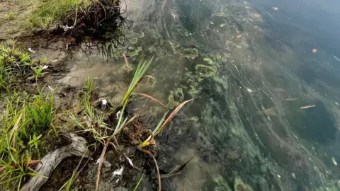 Matt Staniek Polluted water in Windermere