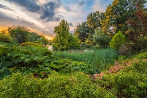 Bożena Piotrowska An attractive garden landscape