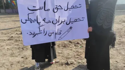 Supplied Protesters in Herat