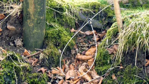 League Against Cruel Sports snare