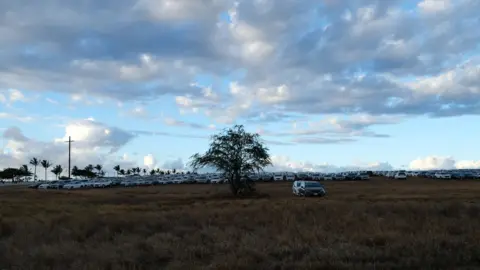 Holly Honderich/BBC Unused rental cars sit on a field