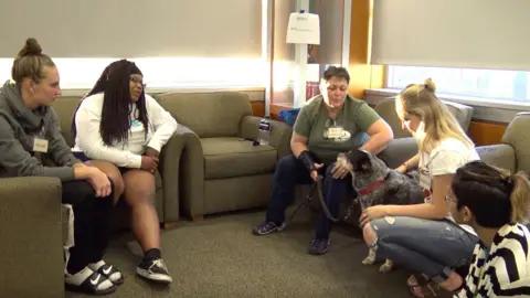 Therapy dogs, Washington State