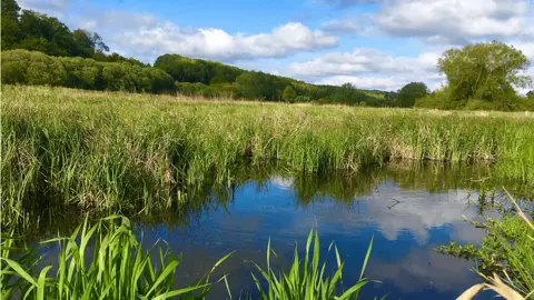 Picture of the River Chess