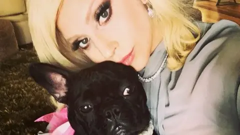 Lady Gaga / Instagram Lady Gaga and her bulldog, Miss Asia