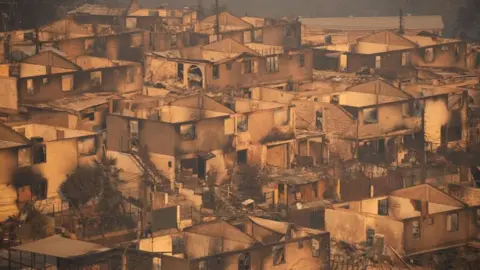 EPA-EFE/REX/Shutterstock Casas afectadas por incendios forestales en la zona de El Olivar, Viña del Mar, Región de Valparaíso, Chile, 03 de febrero de 2024.