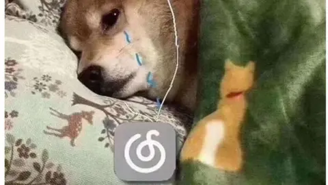 Sina Weibo Young Chinese have found "NetEmo" solidarity