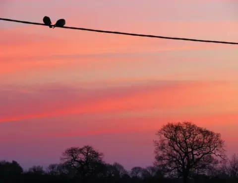 BBC Weather Watchers/Julie The sunrise in Diss