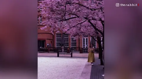 BBC Oozells Square blossom