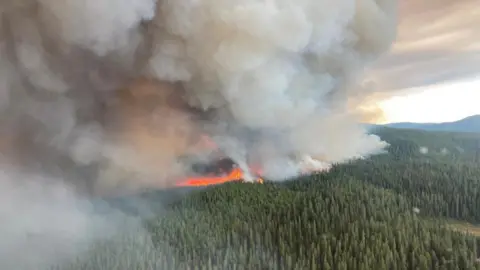 Reuters An aerial view of a wildfire burning through a forest in British Columbia, Canada