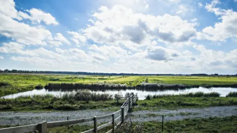 Suffolk Wildlife Trust/John Ferguson Carlton Marshes