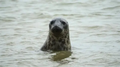 ZSL Jonathan Kemeys Seal