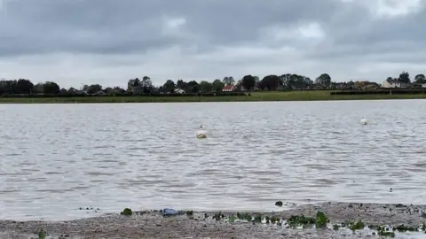 Henry Moreton The flooded farm