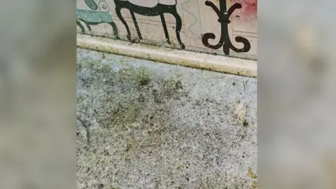 Pictures of damp and mould in a ForHousing property on Newgate Drive in Little Hulton, Salford.