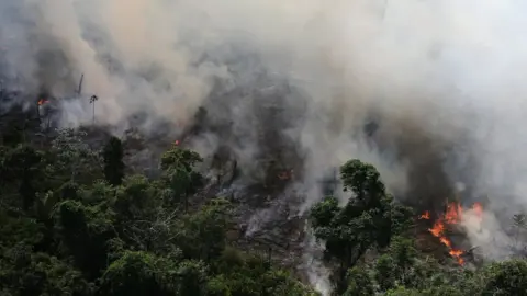 Reuters An aerial view of a tract of Amazon jungle burning as it is cleared by loggers and farmers near the city of Novo Progresso, Para state.