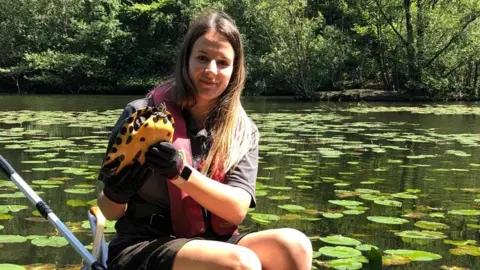 Buckinghamshire Council Laura Smart from the Country Parks Team with one of the terrapins from the lake at Black Park