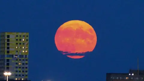 Ali Tre Blue super moon Portsmouth