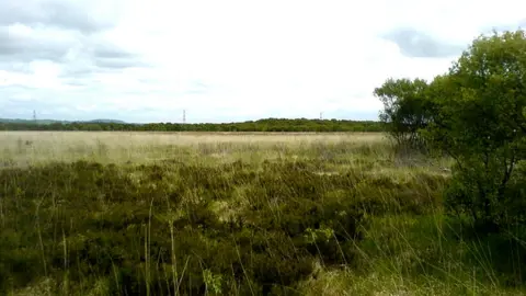 Geograph?Ray Blow Winmarleigh Moss, Lancashire