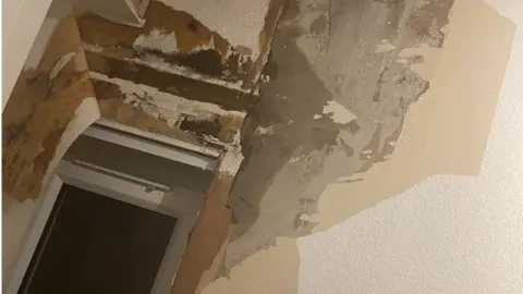 Stacey Lamb Damp conditions in rental property