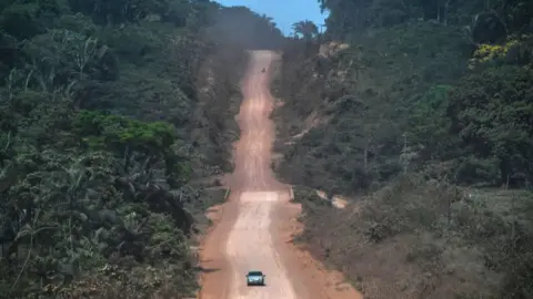 Getty Images Road through the rainforest