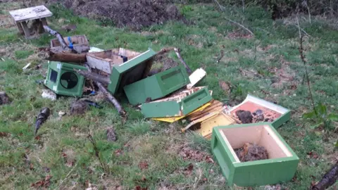 Peter Clark Damaged hive