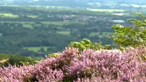 Moorland, West Yorkshire