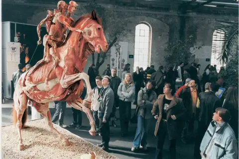 Getty Images Peeled horse and riders