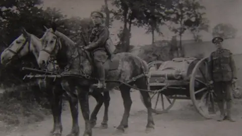 Sheila Rattray William Davies became a driver responsible for South Wales Borderers horses