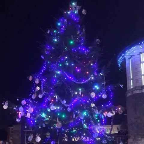 Colin Elsbury Caerphilly's tree