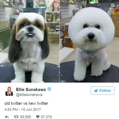 Twitter/@elliesunakawa Screen grab of tweet by @elliesunakawa