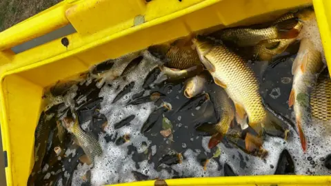 Callum Thorpe fish