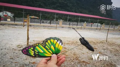 Beijing News Photo taken by visitors in a butterfly exhibition held in Guanxi, China, 10 December 2017