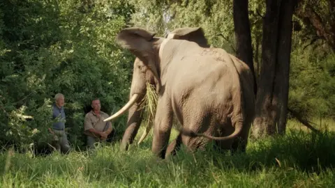 Nick Murray and Sir David Attenborough face to face with an elephant