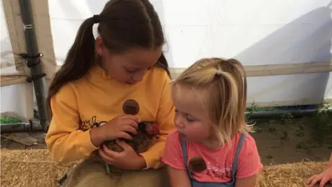 Greenmeadow Community Farm