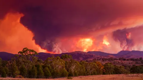 MARTIN OLLMAN Massive smoke clouds turn the sky red above above a blaze south of Canberra in January 2020