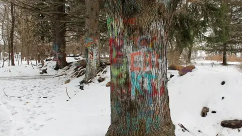 BBC Graffiti on a row of trees