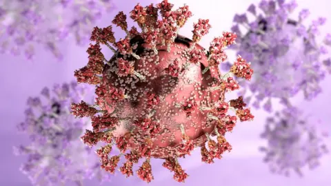 Getty Images Coronavirus