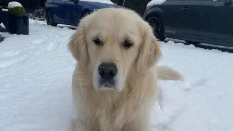 Donna/ BBC Weather Watchers Max