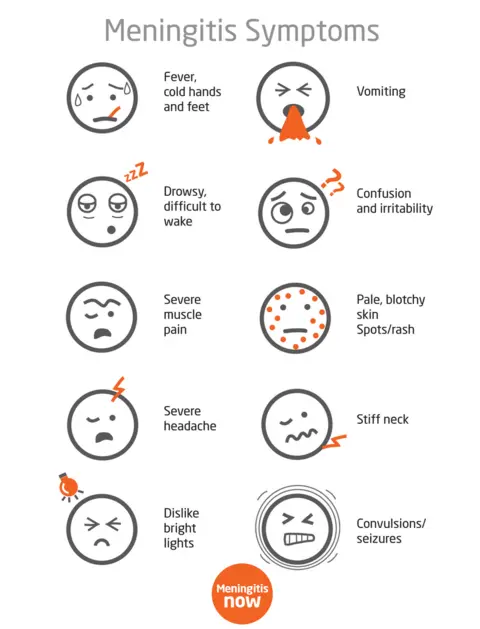 Meningitis Now Meningitis Symptoms