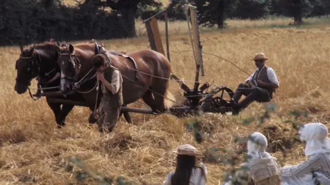 Rex Pyke Horses pulling a plough in a field of wheat, with farmers and children dressed in period costume from the 1910s, for the filming of Akenfield in 1972