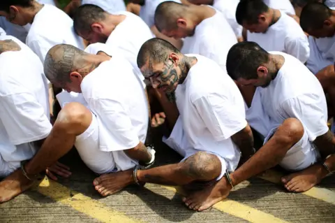 Jose Cabezas / Reuters Mara Salvatrucha gang members wait in a row at a prison in El Salvador