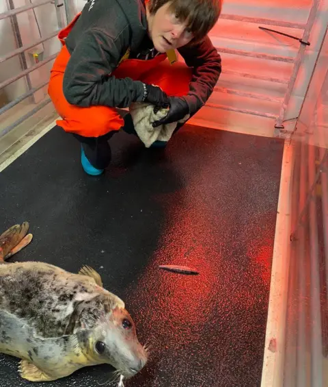 Lizzi Larbalestier Lizzi Larbalestier with seal pup