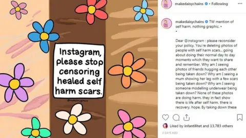 @makedaisychains Artwork of colourful flowers with a message saying Instagram, please stop censoring healed self harm scars.