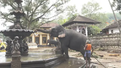 Getty Images Fountain