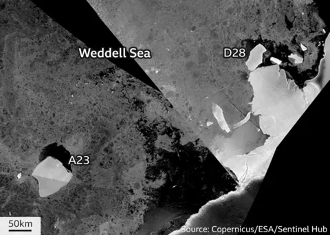 BBC A23 and Molar Berg