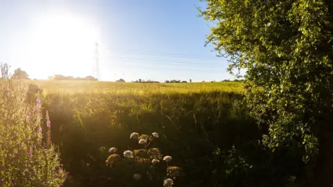 Lucy Bickerton On the river at Bablock Hythe