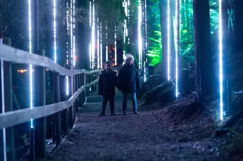 Enchanted Forest Enchanted Forest