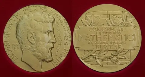 IMU Fields Medal