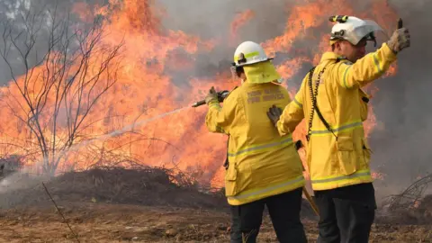 EPA Firefighters battle a blaze near the town of Drake in New South Wales