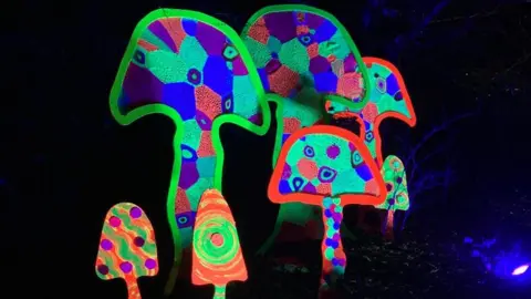 BBC Blue, purple, orange and green coloured mushrooms